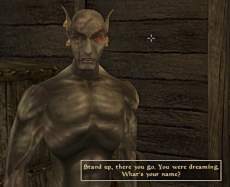 Elder Scrolls III: Morrowind, The - Цитатник Вварденфелла